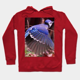 BLUE JAY BY YANNIS LOBAINA Hoodie